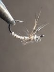 Insect Artificial fly Arthropod Silver Fishing lure